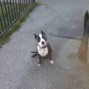 Meet your Posher, Junior